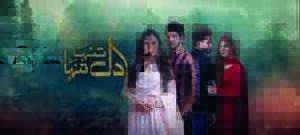 Top Pakistani Drama Dil Tanha Tanha