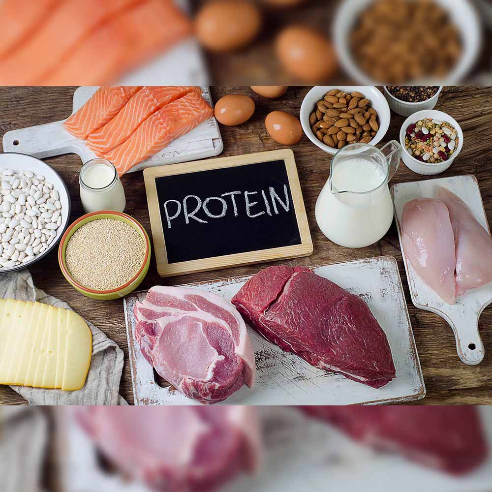 protein help the body to protect from pathogens