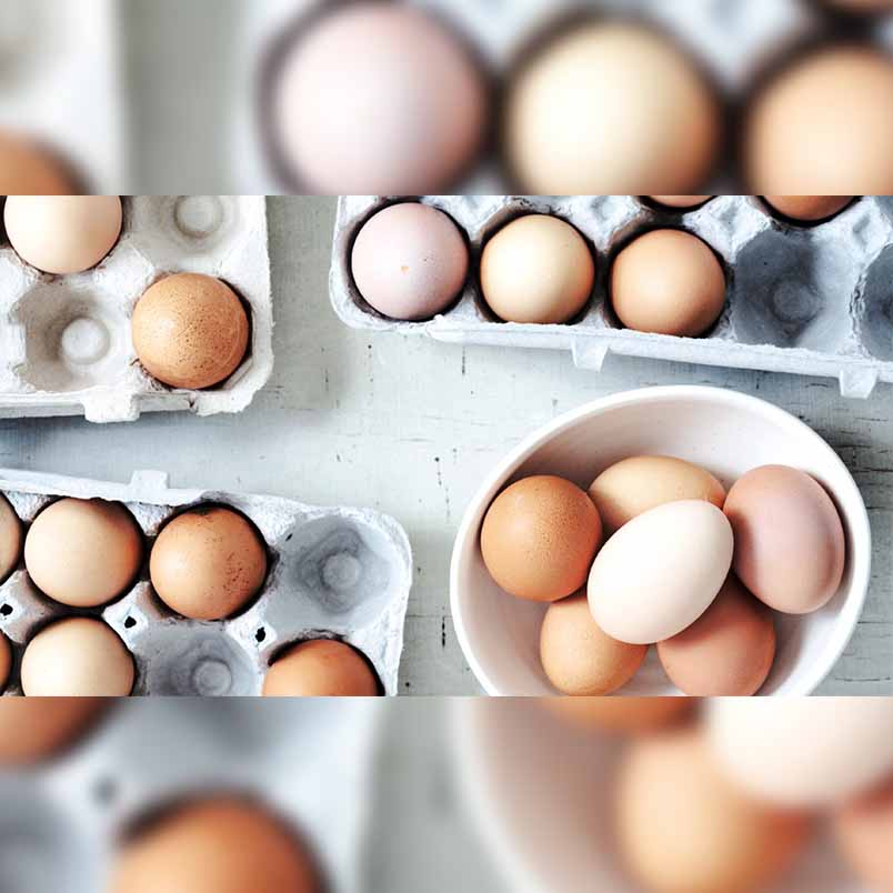 Food for Brain - Eggs