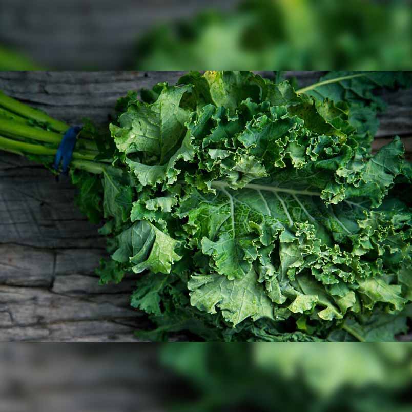 Food for Brain - Kale