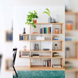 Keep Your Book shelves Organized & Aesthetic