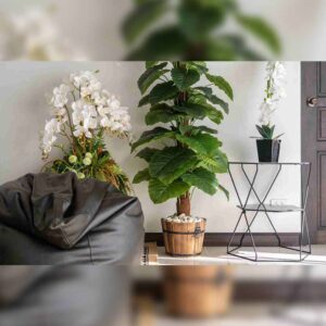 Place Plants (Or Faux Plants) Around Your Home